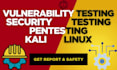 do penetration and vulnerability test with detailed report