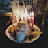 remove black magic curse,djins,spirit,hex and bad energies