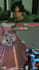 tik toks,reels,youtube shorts for valorant