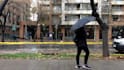 remove background from videos and images