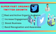 do fast organic twitter growth ,schedule posting, promotion, and marketing