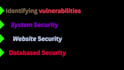 penetration testing on your web application