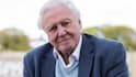 record your david attenborough style voice overs and narration
