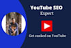 do experts youtube seo
