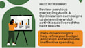 audit and optimize google ads PPC campaigns, performance max and search ads