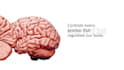 transform your powerpoint with motion graphics