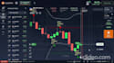 provide profitable iq option script with highly results
