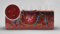 do 3d medical animation
