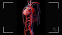 create a 3d medical model