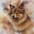 draw pets or favorite items, photo painting 24 hours