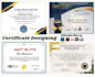 do professional certificate, custom certificate, diploma certificate