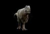 do 3d animal model 3d dinosaur model 3d dragon 3d animal animation 3d creatures
