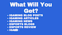 write igaming and esports blog posts, articles, and website content