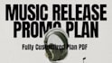 create a custom music release plan for you