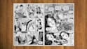 draw book covers and  posters