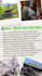 design canva templates for students and creators