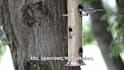 create a product video for your outdoor product