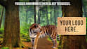 do your logo animation with tiger, custom animation