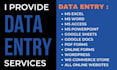 provide data entry services