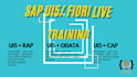 provide full stack sap ui5 fiori rap cds btp hana live training