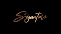 animate handwritten signatures or text in gold and silver styles