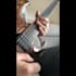 compose the best solos for your song