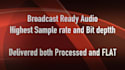 quick voice scripts now