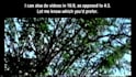 convert your videos into authentic vhs recordings