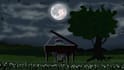 create 2d cartoon video