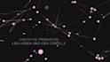 compose music for your project
