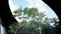 render 3d architectural animations in lumion and twinmotion
