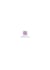 handle complete project management, presales , client tasks