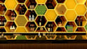 create your bar counter interior design