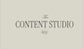 design an exclusive branding visual identity kit with logo