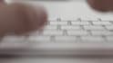 do accurate data entry, typing, copy paste, PDF to word