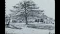 do create quick architectural sketches