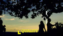 create a video for your business featuring voice and music, real or ia