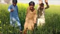 create happy birthday video or african happy birthday video