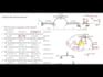 help you in structural analysis using sap2000 and programming in python language