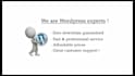migrate wordpress, transfer wordpress in 24 hours