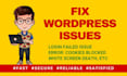 fix wordpress issues, wordpress errors or login issues safely