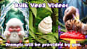 generate bulk veo text or image to videos