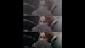 do professional color grading in davinci resolve