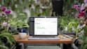do data entry in quickbooks, xero, online and desktop