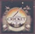 create a cricket logo design with copyright protection