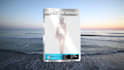 design 3d nft card, coin and pixel art that you can sell