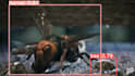 train yolo and cnn model for object detection  and instance segmentation