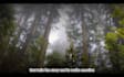 professionally edit any of your video, vlog, travel, social, comercial, tv, show