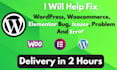 fix wordpress issues, errors, bugs, problem, woocommerce