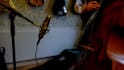 record world class upright acoustic bass